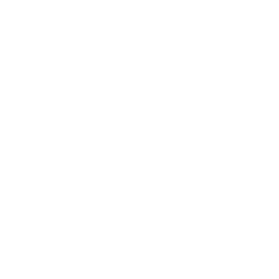 Download on Windows